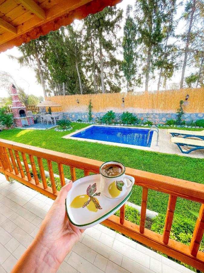 Andizalti Doga Evleri Limon Ev Datca Villa Exterior photo